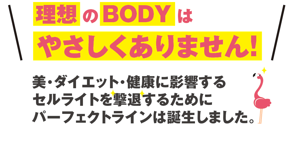理想のボディはやさしくありません。美・ダイエット・健康に影響するセルライトを撃退するためにパーフェクトラインは誕生しました!