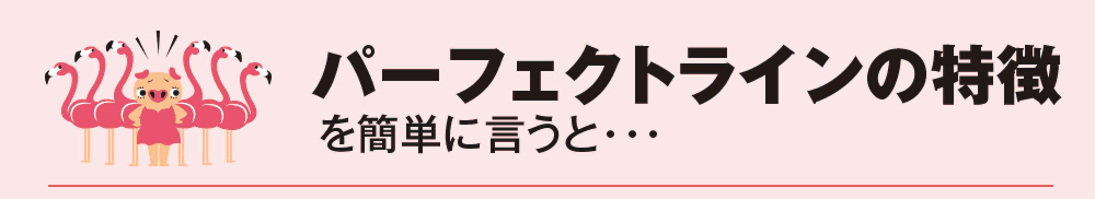 パーフェクトラインの特徴を簡単に言うと・・・