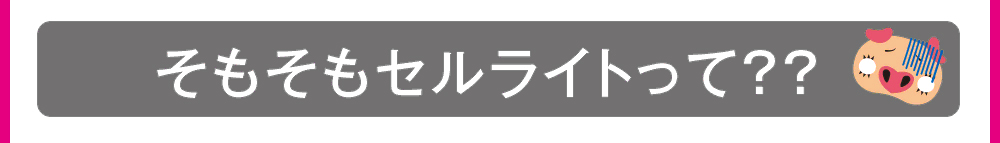 そもそもセルライトって